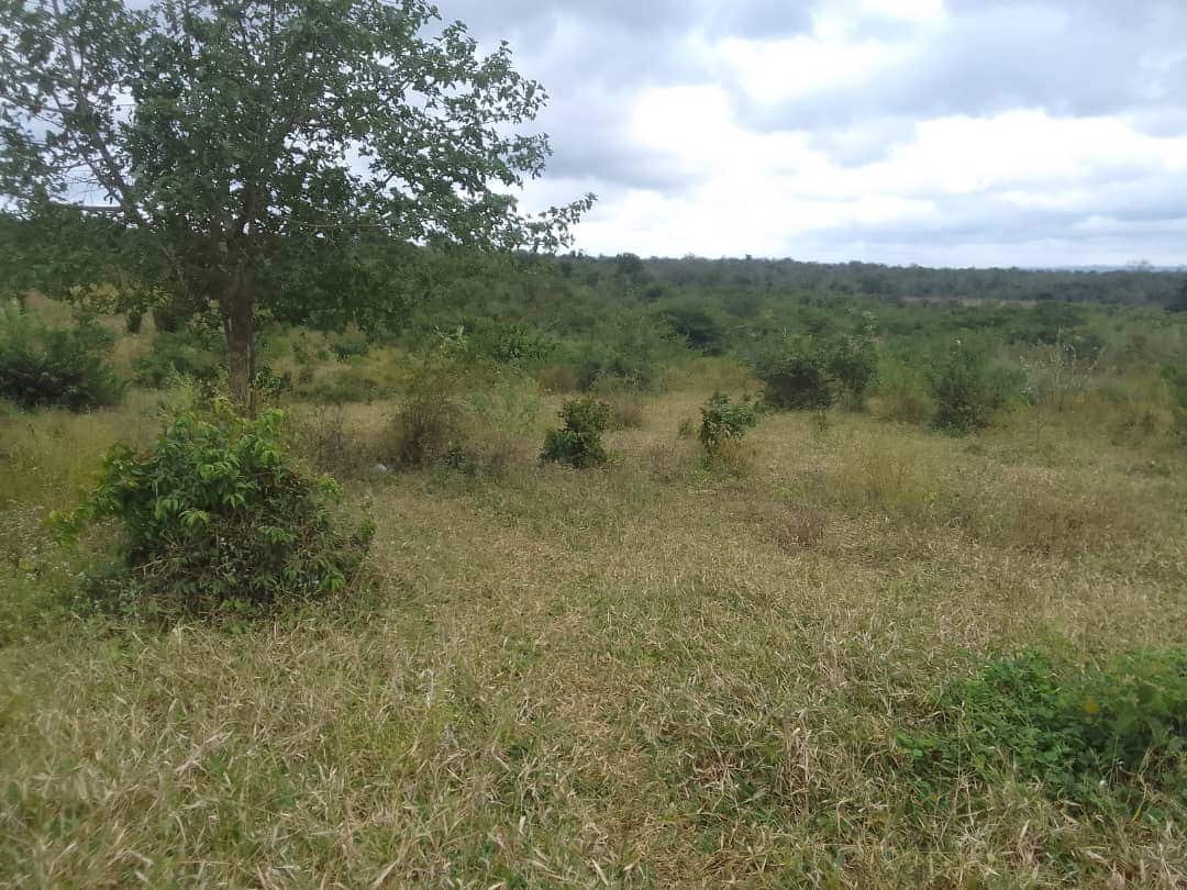Property listing