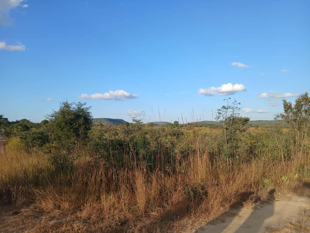 New Property