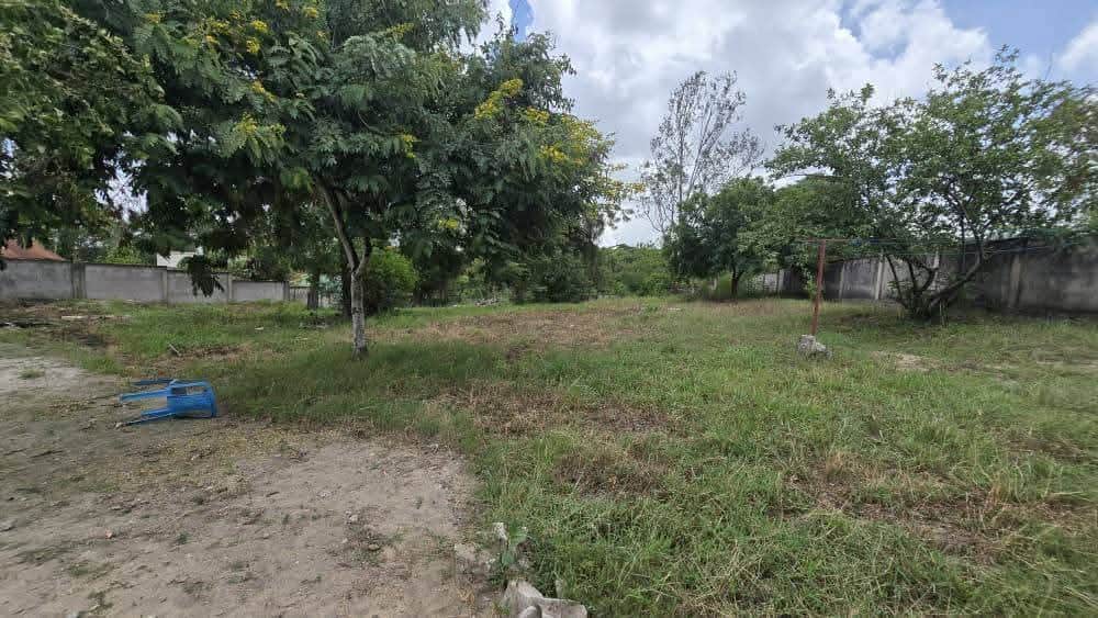 Property listing
