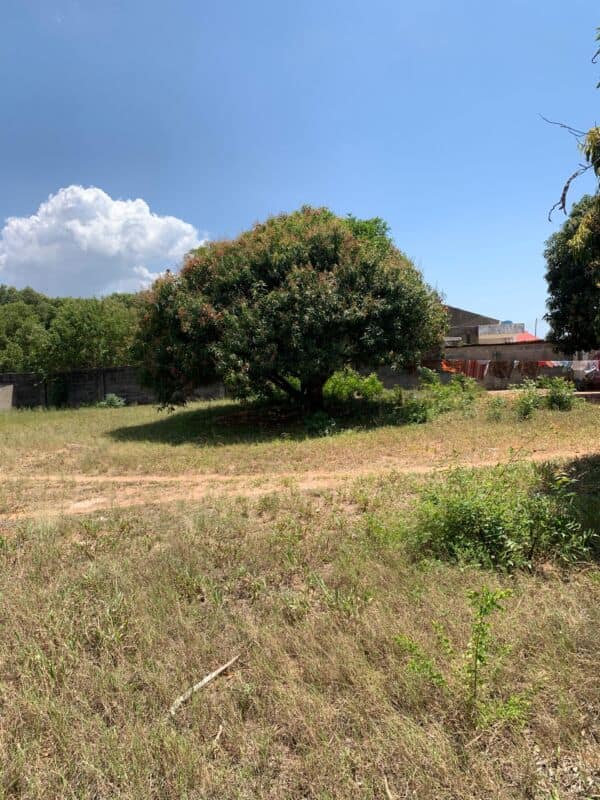 Property listing