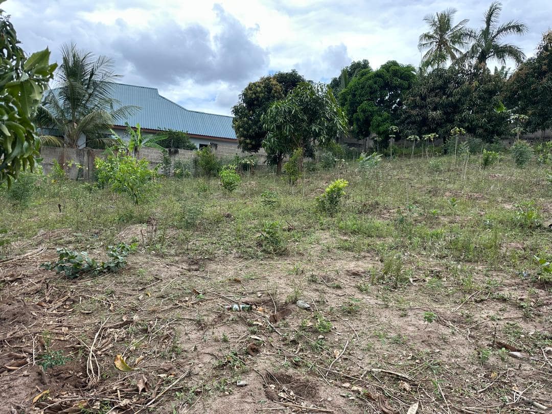 New Property