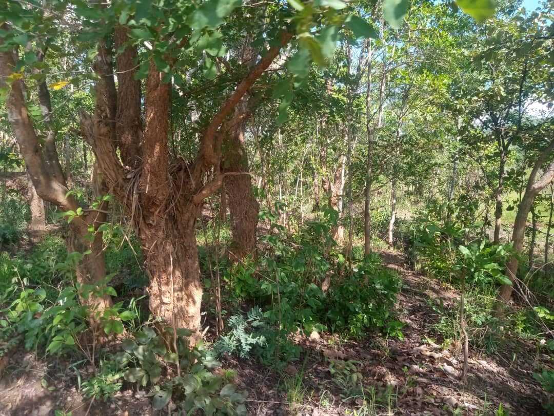 Property listing