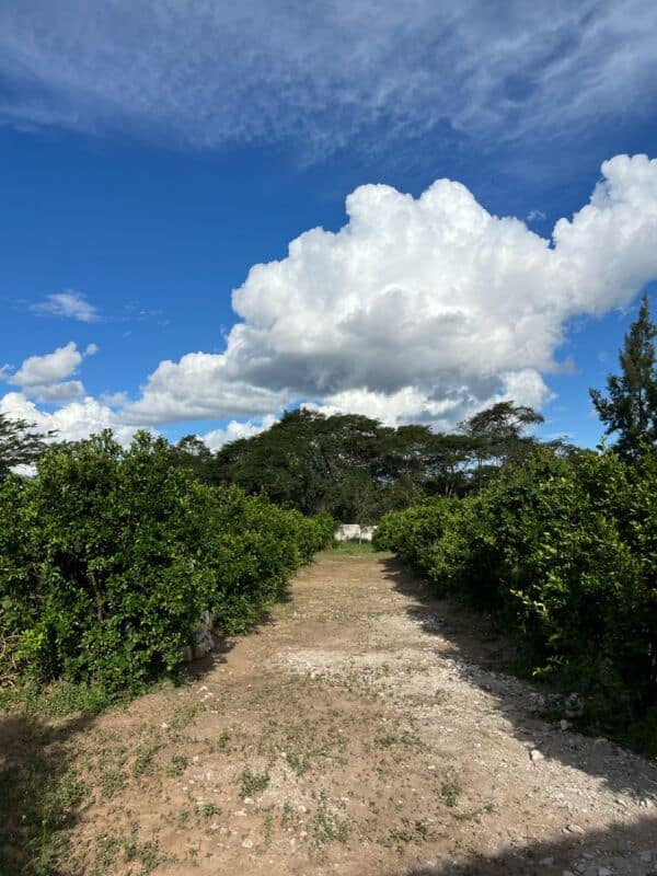 Property listing