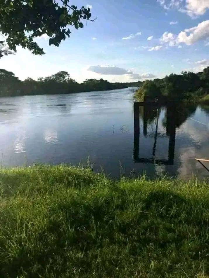 Property listing
