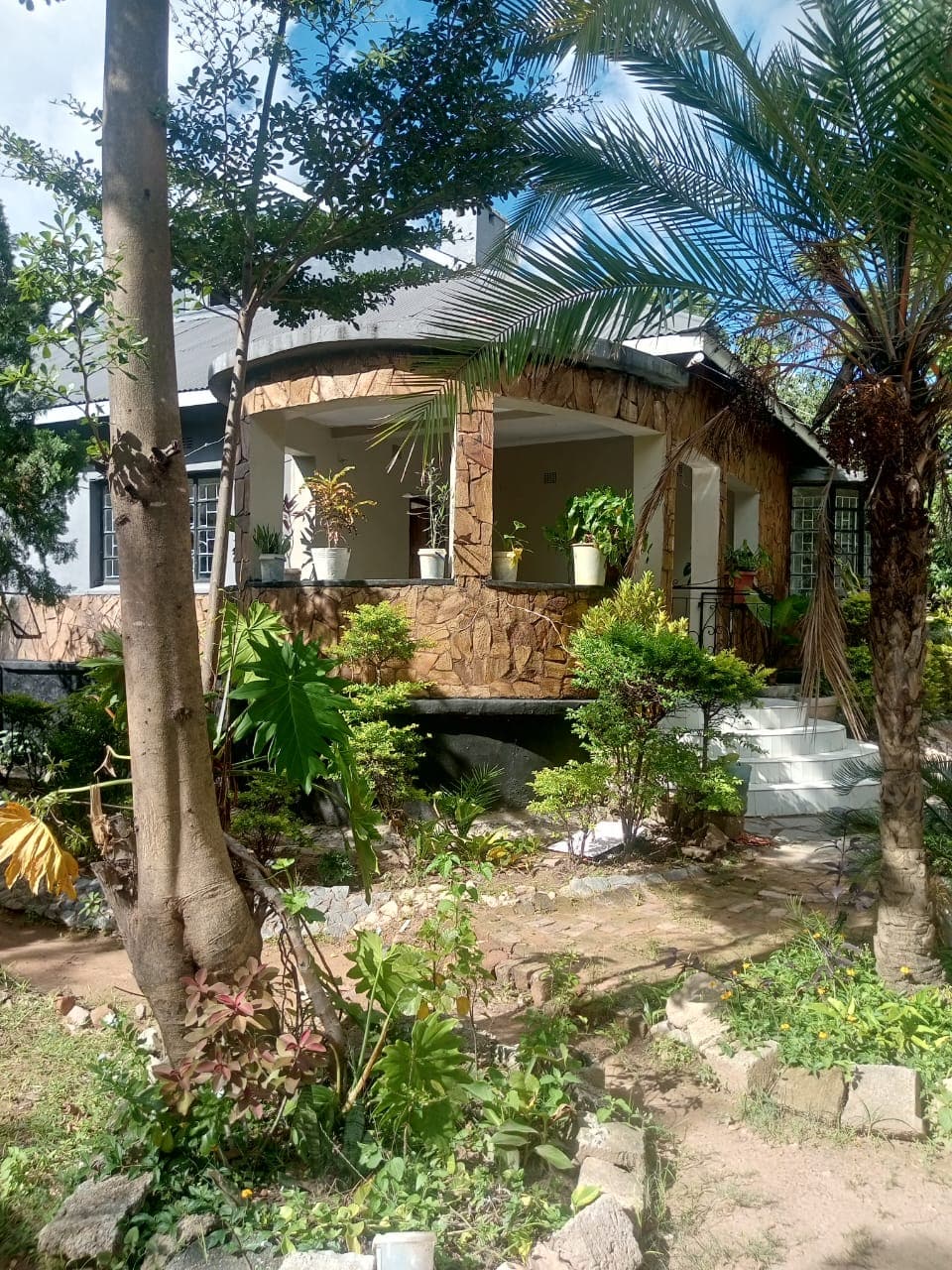 New Property